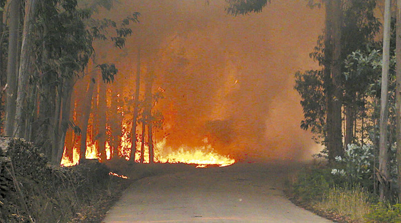 Mais de 100 combateram incêndio da Ermida