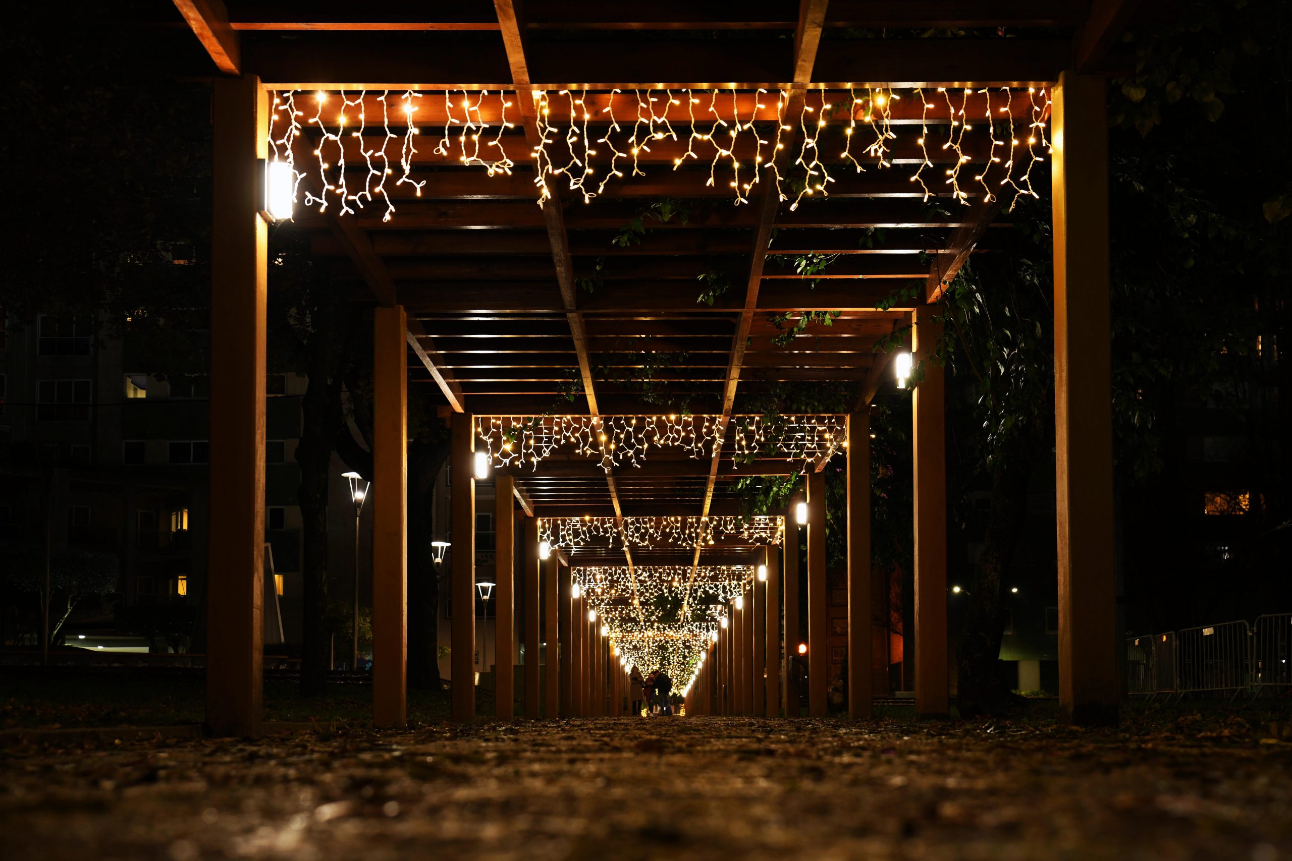 Famalicão inaugura iluminação e celebra regresso da Árvore de Natal à  cidade - Jornal do Ave